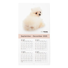 画像をギャラリービューアに読み込む, THE DOG 2026年カレンダー ミニサイズ(ポメラニアン)