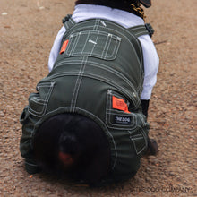 Lea la imagen en la vista de la galería, El perro × universal en general Burdog en general (caqui)