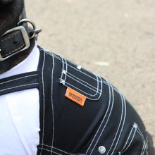 Lea la imagen en la vista de la galería, El perro de toros francés de perro × universal en general (negro)