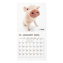 將圖像閱讀到畫廊視圖中, THE PIG 2026年カレンダー ミニサイズ