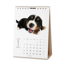 將圖像閱讀到畫廊視圖中, THE DOG 2026年カレンダー 卓上サイズ(バーニーズ・マウンテン・ドッグ)