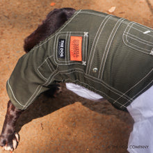 Lea la imagen en la vista de la galería, El perro × universal en general Burdog en general (caqui)