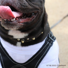 Lea la imagen en la vista de la galería, El perro de toros francés de perro × universal en general (negro)