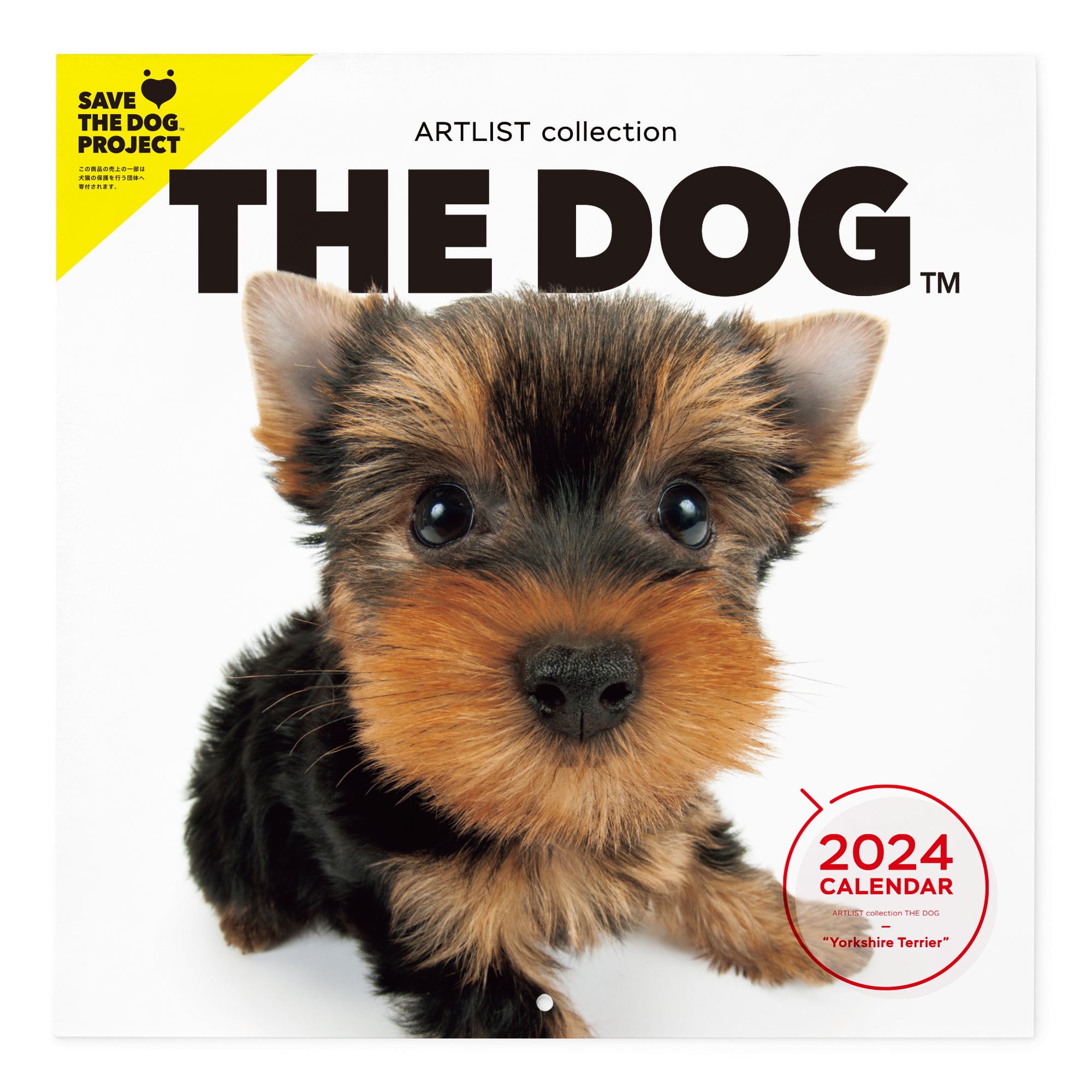 THE DOG 2024 Calendar Large format size (Yorkshire Terrier) – THE