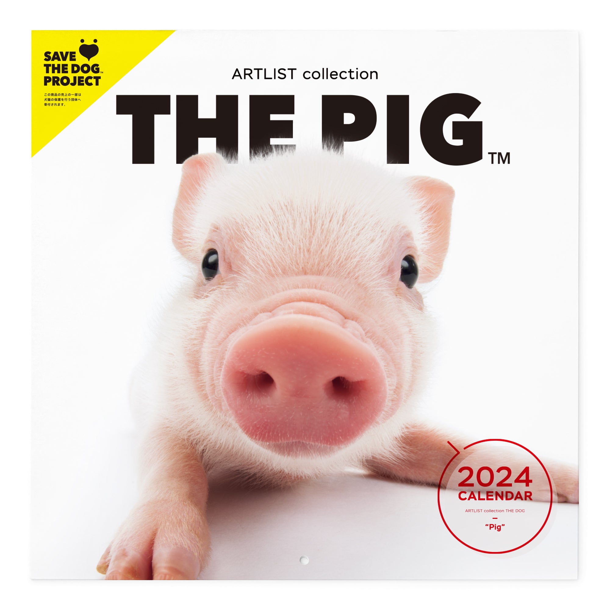 THE PIG 2024 Calendar Large format size – THE DOG STORE