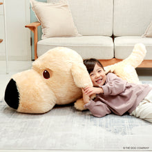 画像をギャラリービューアに読み込む, 【終売】THE DOG デカぐるみ(ゴールデン・レトリーバー)Golden Retriever【2024年11月中旬より順次発送】