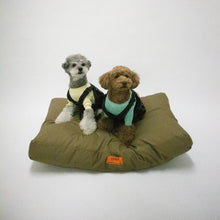 將圖像閱讀到畫廊視圖中, 通用整體墊子墊