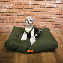 將圖像閱讀到畫廊視圖中, 通用整體墊子墊