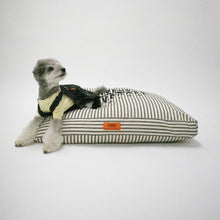 將圖像閱讀到畫廊視圖中, 通用整體墊子墊