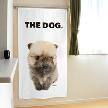 Lea la imagen en la vista de la galería, Noren El perro Pomeranian (lobo sable de 150 cm de longitud)