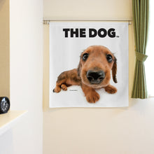 Lea la imagen en la vista de la galería, Noren El perro Dachshund (de 90 cm)