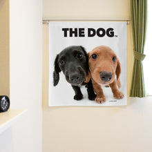 將圖像閱讀到畫廊視圖中, Noren 狗臘腸犬(長2 90厘米)