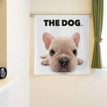 将图像阅读到画廊视图中, Noren 狗法国Burdog(长90厘米)