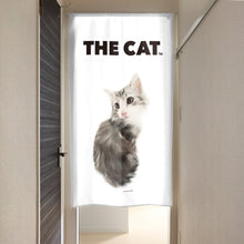 將圖像閱讀到畫廊視圖中, Noren 貓挪威森林貓(藍色Taby 150厘米長)