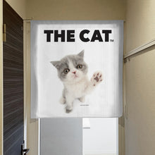 将图像阅读到画廊视图中, Noren 猫异国短发(长90厘米)