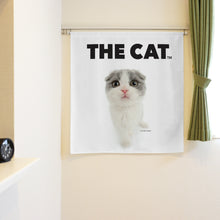 將圖像閱讀到畫廊視圖中, Noren 貓蘇格蘭褶皺(長90厘米)