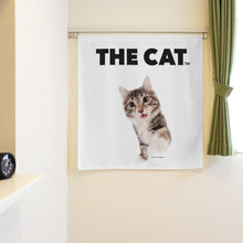 将图像阅读到画廊视图中, Noren 猫挪威森林猫(长90厘米)