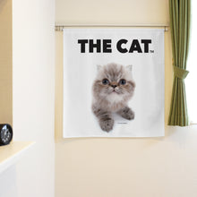 將圖像閱讀到畫廊視圖中, Noren 貓喜馬拉雅山脈(長90厘米)