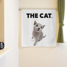 将图像阅读到画廊视图中, Noren 猫俄罗斯蓝(长90厘米)