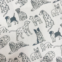 將圖像閱讀到畫廊視圖中, 狗×shogo sekine總模式雜亂的外套