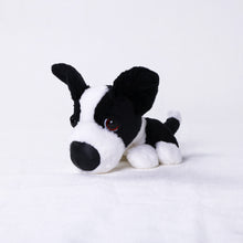 将图像阅读到画廊视图中, 狗毛绒迷你(边境牧羊犬)边境牧羊犬