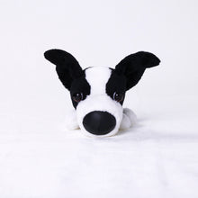 将图像阅读到画廊视图中, 狗毛绒迷你(边境牧羊犬)边境牧羊犬