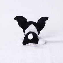 将图像阅读到画廊视图中, 狗毛绒迷你(边境牧羊犬)边境牧羊犬