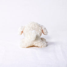 Lea la imagen en la vista de la galería, The Dog Plush Mini (Bichon Frize)Bichon Frise