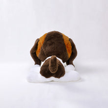 將圖像閱讀到畫廊視圖中, 狗毛絨大(Basst Hound)貝斯特獵犬