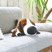 將圖像閱讀到畫廊視圖中, 狗毛絨大(Basst Hound)貝斯特獵犬