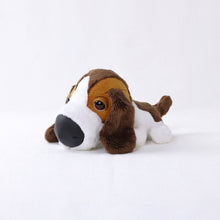 將圖像閱讀到畫廊視圖中, 狗毛絨迷你(Basst Hound)貝斯特獵犬