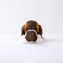 將圖像閱讀到畫廊視圖中, 狗毛絨迷你(Basst Hound)貝斯特獵犬