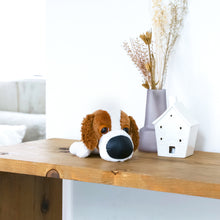 將圖像閱讀到畫廊視圖中, 狗毛絨迷你(騎士國王查爾斯西班牙獵犬)卡瓦利亞