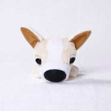 將圖像閱讀到畫廊視圖中, 狗毛絨迷你(奇瓦瓦)奇瓦瓦