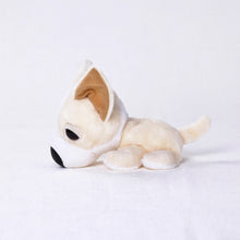 將圖像閱讀到畫廊視圖中, 狗毛絨迷你(奇瓦瓦)奇瓦瓦