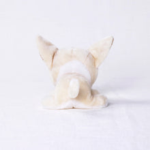 將圖像閱讀到畫廊視圖中, 狗毛絨迷你(奇瓦瓦)奇瓦瓦