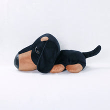 將圖像閱讀到畫廊視圖中, 狗毛絨大(臘腸犬)臘腸犬