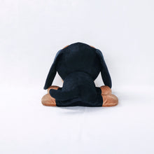 將圖像閱讀到畫廊視圖中, 狗毛絨大(臘腸犬)臘腸犬