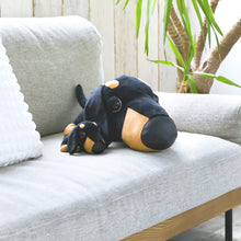 將圖像閱讀到畫廊視圖中, 狗毛絨大(臘腸犬)臘腸犬