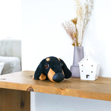 將圖像閱讀到畫廊視圖中, 狗毛絨迷你(臘腸犬)臘腸犬