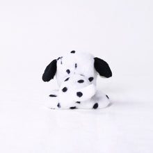 將圖像閱讀到畫廊視圖中, 狗毛絨迷你(達爾馬提亞)達爾馬提亞