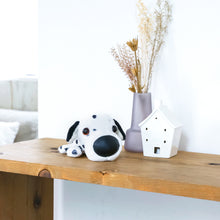 將圖像閱讀到畫廊視圖中, 狗毛絨迷你(達爾馬提亞)達爾馬提亞