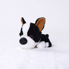 將圖像閱讀到畫廊視圖中, 狗毛絨迷你(法國鬥牛犬)法國burdog