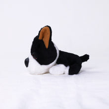將圖像閱讀到畫廊視圖中, 狗毛絨迷你(法國鬥牛犬)法國burdog
