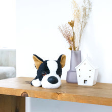 將圖像閱讀到畫廊視圖中, 狗毛絨迷你(法國鬥牛犬)法國burdog