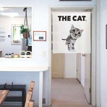 갤러리보기에 이미지를 읽고 Noren 고양이 미국 짧은 머리 (90cm 길이)