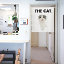 將圖像閱讀到畫廊視圖中, Noren 貓蘇格蘭褶皺(長90厘米)