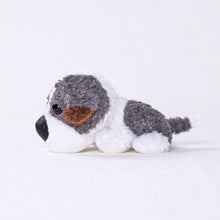 將圖像閱讀到畫廊視圖中, 狗毛絨迷你(Shih tzu)Shih Tzu