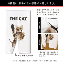 画像をギャラリービューアに読み込む, のれん THE CAT スコティッシュ・フォールド(シルバー 150cm丈)