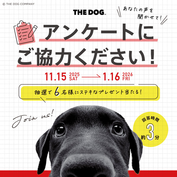 🎁 アンケートご協力のお願い 🐶🐱